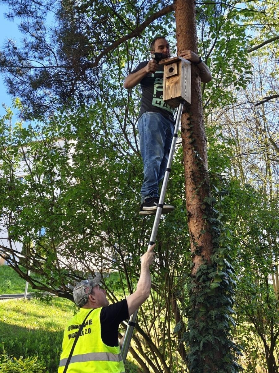 Zdjęcie w galerii na portalu naszwodzislaw.com: Wodzisław 2.0 działa dla przyrody. Budki lęgowe w kolejnych lokalizacjach wiadomości z regionu