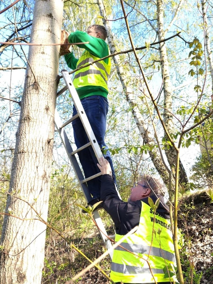 Zdjęcie w galerii na portalu naszwodzislaw.com: Wodzisław 2.0 działa dla przyrody. Budki lęgowe w kolejnych lokalizacjach wiadomości z regionu