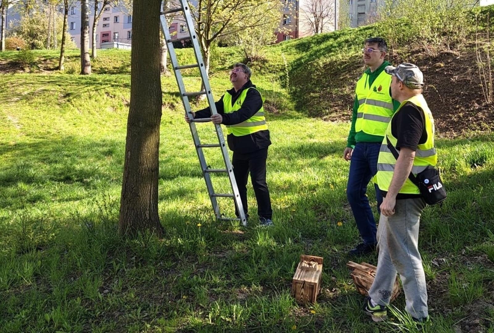 Zdjęcie w galerii na portalu naszwodzislaw.com: Wodzisław 2.0 działa dla przyrody. Budki lęgowe w kolejnych lokalizacjach wiadomości z regionu