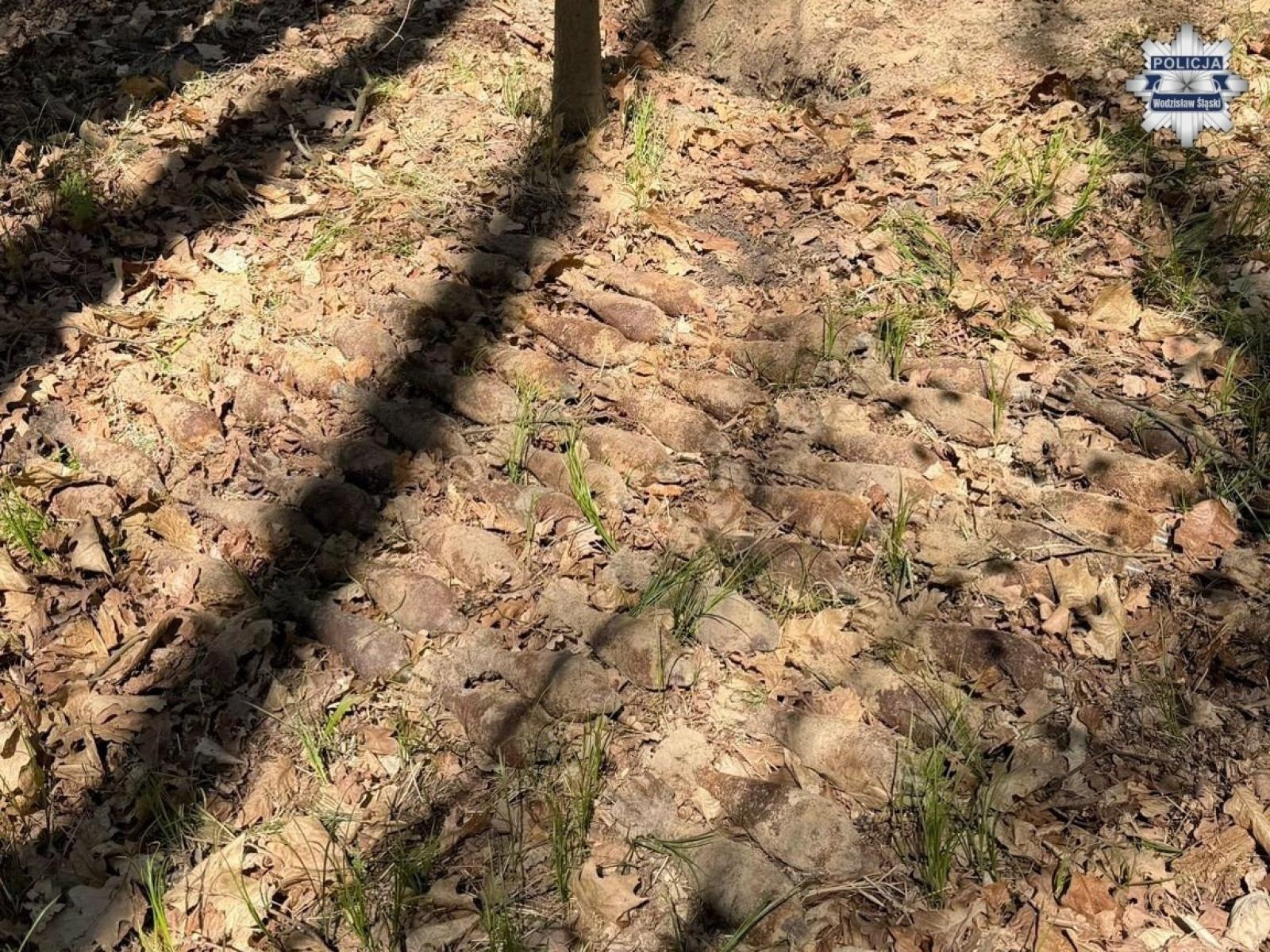 Zdjęcie w galerii na portalu naszwodzislaw.com: Ponad 50 niewybuchów w Syryni. Saperzy interweniowali po zgłoszeniu mieszkańca wiadomości z regionu