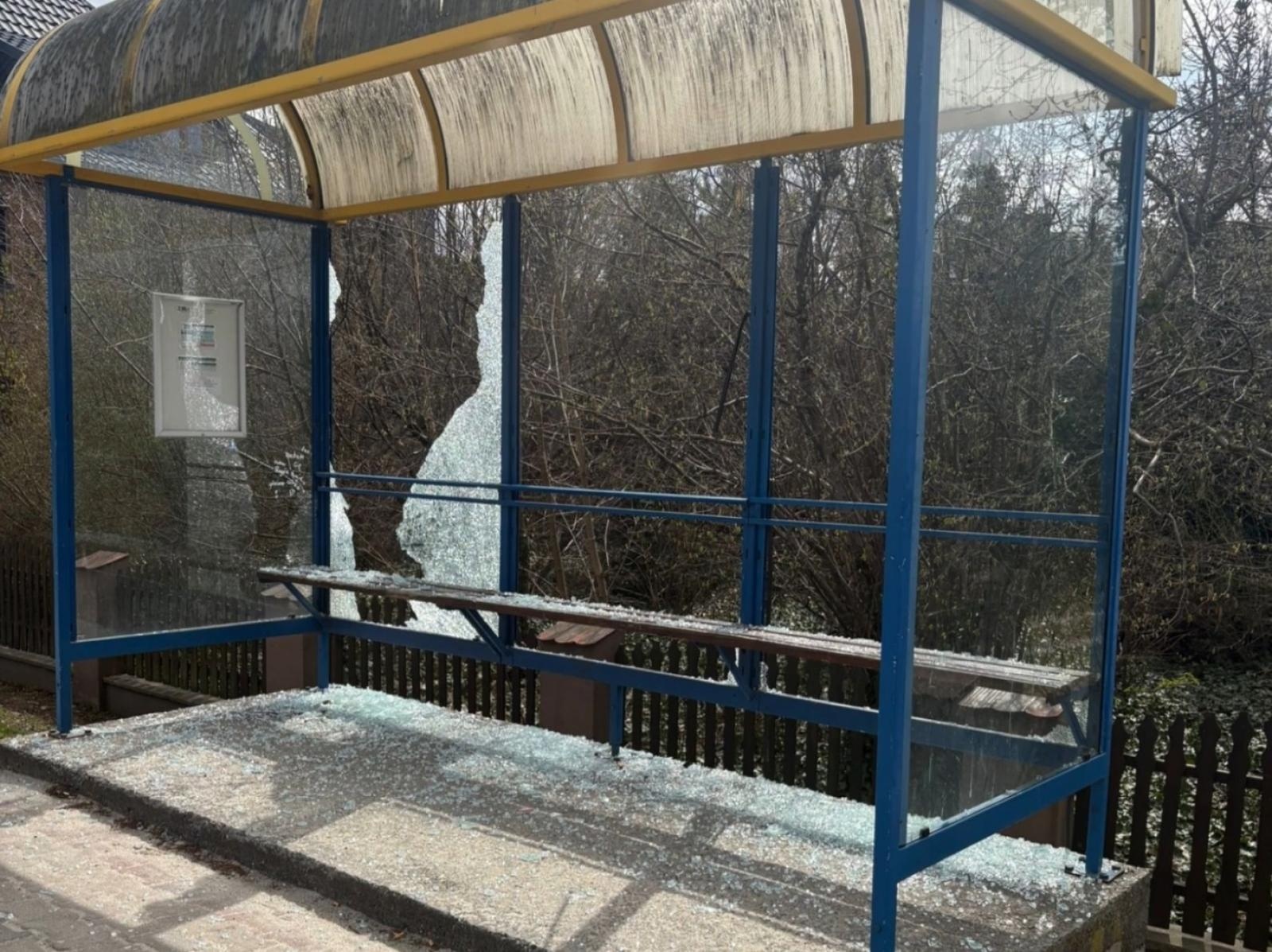 Zdjęcie w galerii na portalu naszwodzislaw.com: Frustrację wyładowywała na wiatach przystankowych. 24-latka odpowie przed sądem wiadomości z regionu