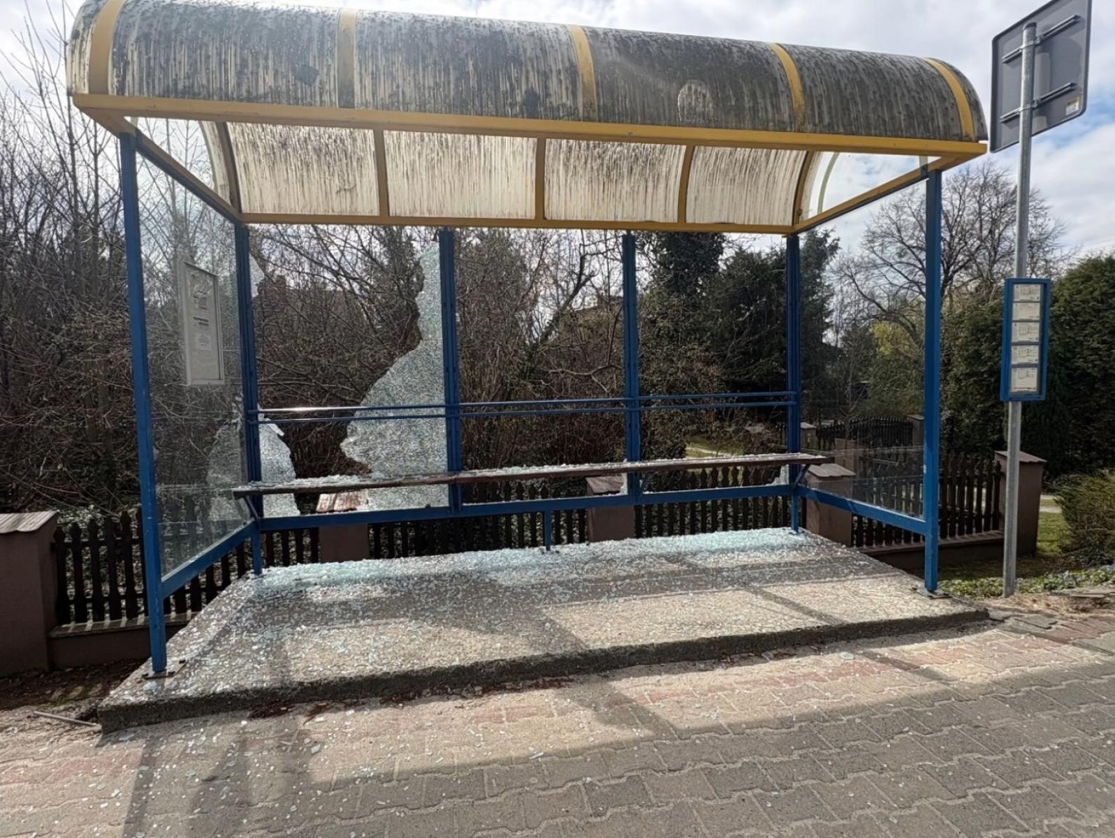 Zdjęcie w galerii na portalu naszwodzislaw.com: Frustrację wyładowywała na wiatach przystankowych. 24-latka odpowie przed sądem wiadomości z regionu