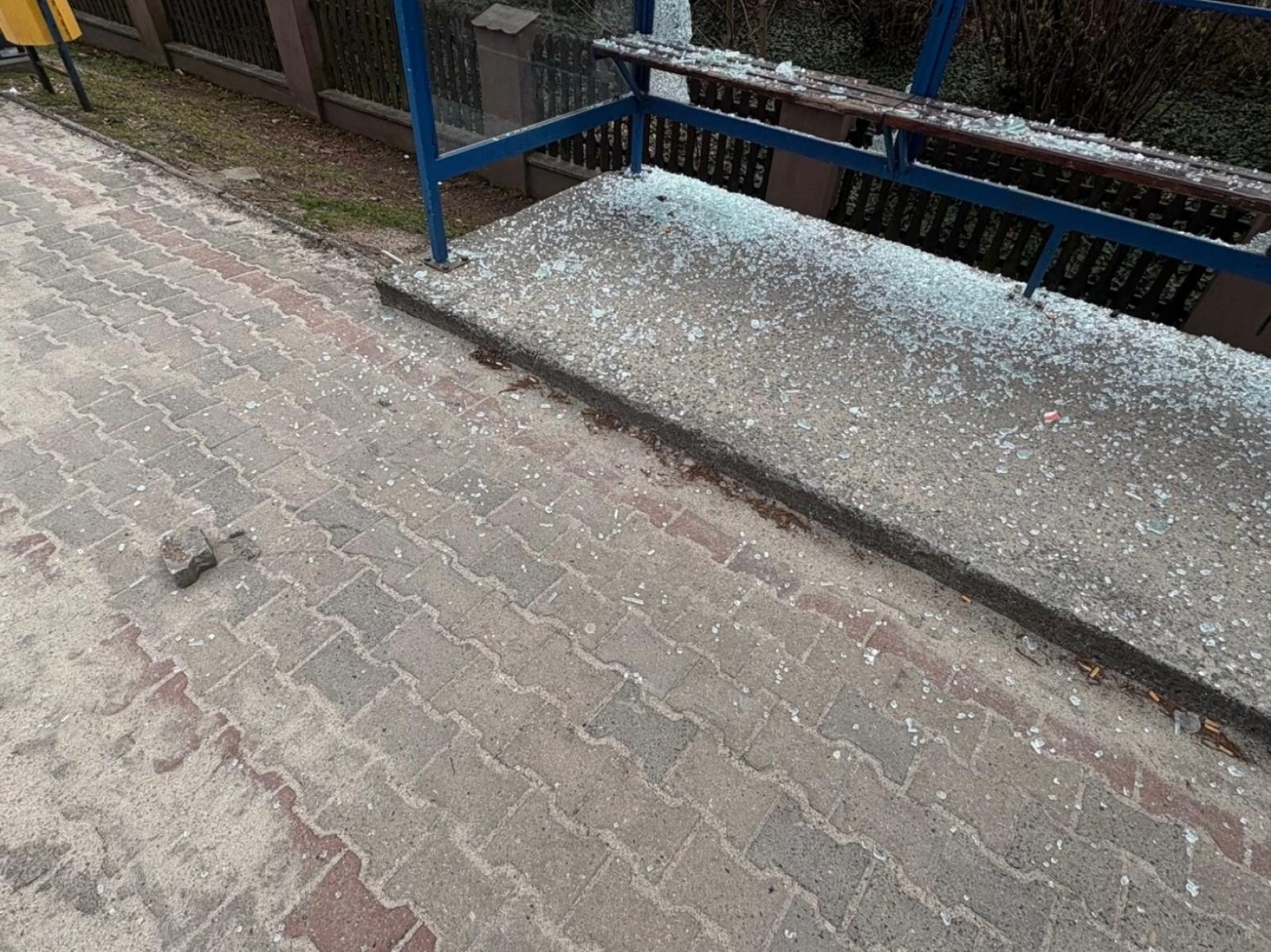 Zdjęcie w galerii na portalu naszwodzislaw.com: Frustrację wyładowywała na wiatach przystankowych. 24-latka odpowie przed sądem wiadomości z regionu