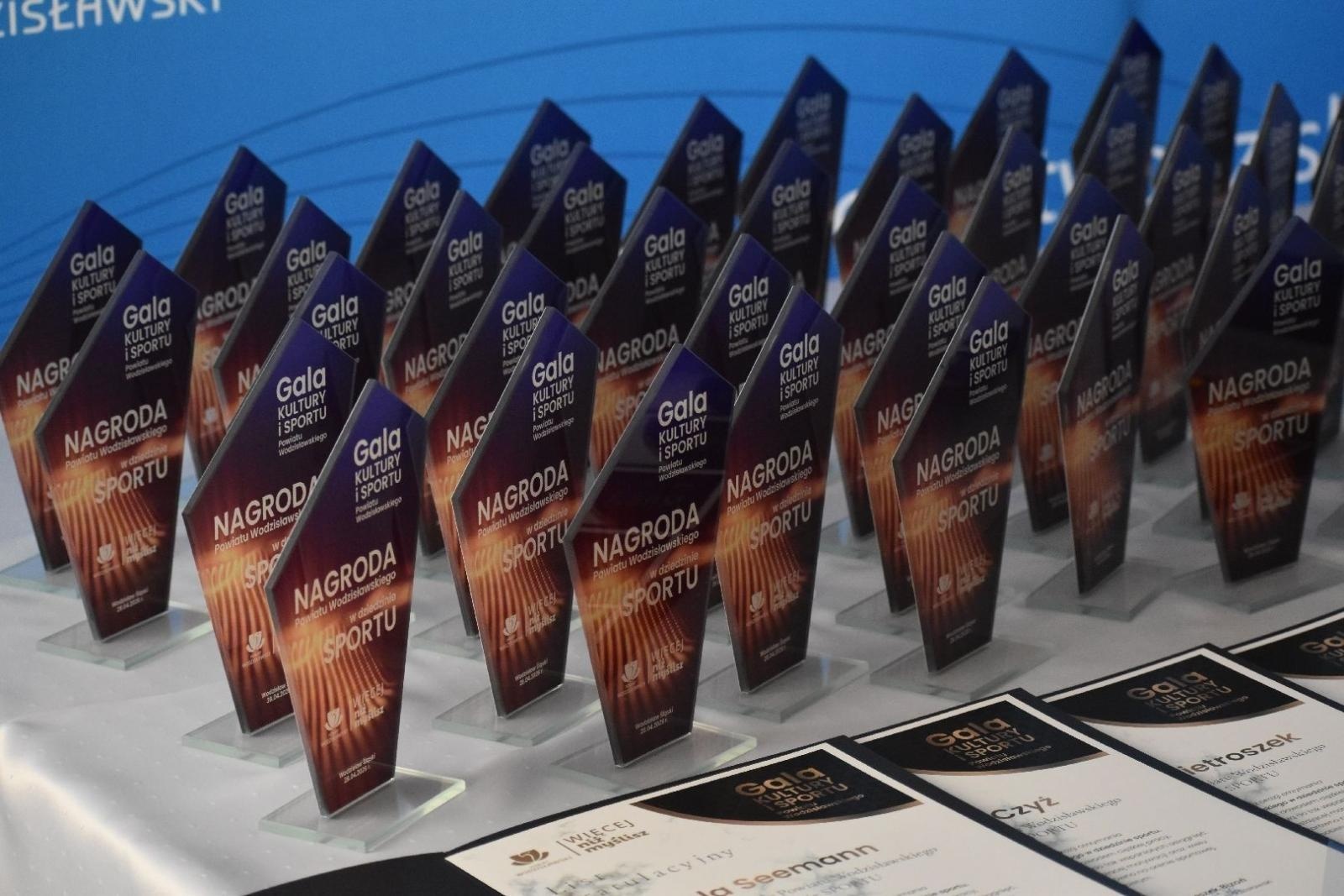 Zdjęcie w galerii na portalu naszwodzislaw.com: Najlepsi z najlepszych nagrodzeni. Gala Powiatu Wodzisławskiego 2026 za nami [FOTO] wiadomości z regionu