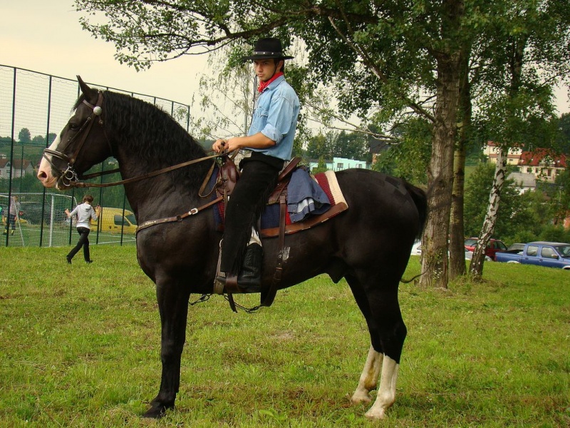 Zdjęcie w galerii na portalu naszwodzislaw.com: Grzanka, Britney, Rita, Muppet... wiadomości z regionu