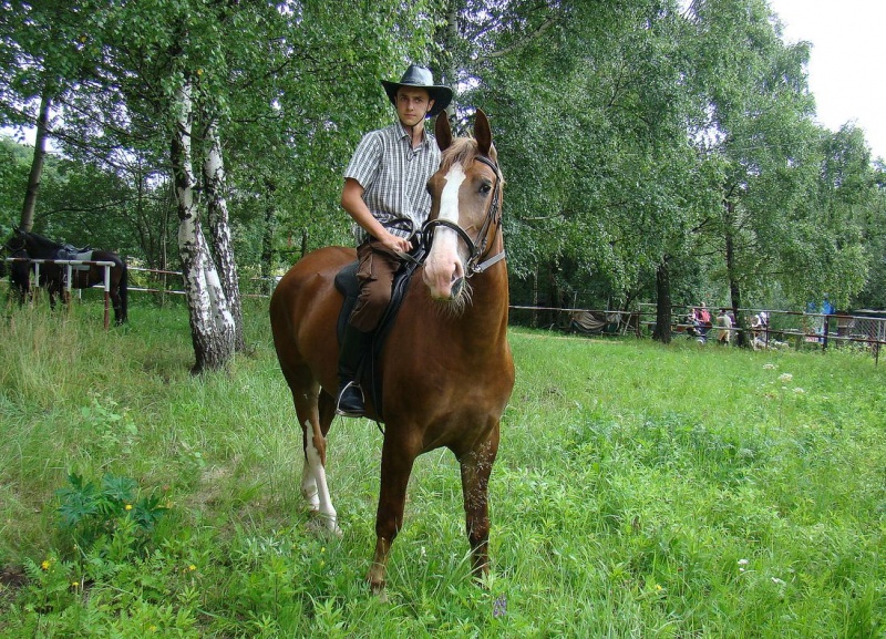 Zdjęcie w galerii na portalu naszwodzislaw.com: Grzanka, Britney, Rita, Muppet... wiadomości z regionu