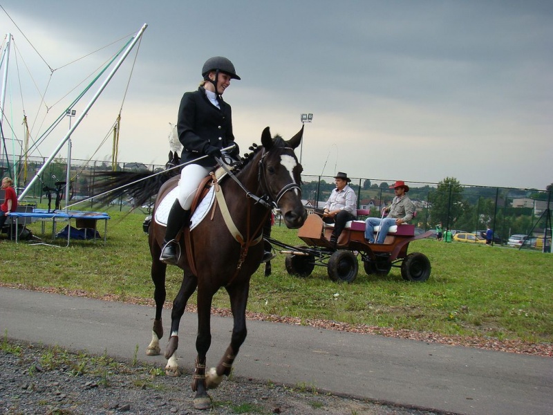 Zdjęcie w galerii na portalu naszwodzislaw.com: Grzanka, Britney, Rita, Muppet... wiadomości z regionu