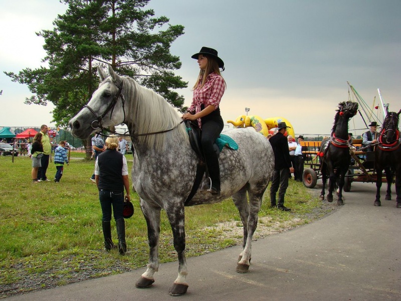 Zdjęcie w galerii na portalu naszwodzislaw.com: Grzanka, Britney, Rita, Muppet... wiadomości z regionu