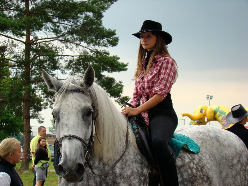 Zdjęcie w galerii na portalu naszwodzislaw.com: Grzanka, Britney, Rita, Muppet... wiadomości z regionu