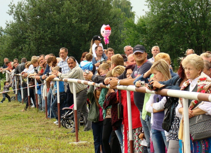 Zdjęcie w galerii na portalu naszwodzislaw.com: Grzanka, Britney, Rita, Muppet... wiadomości z regionu