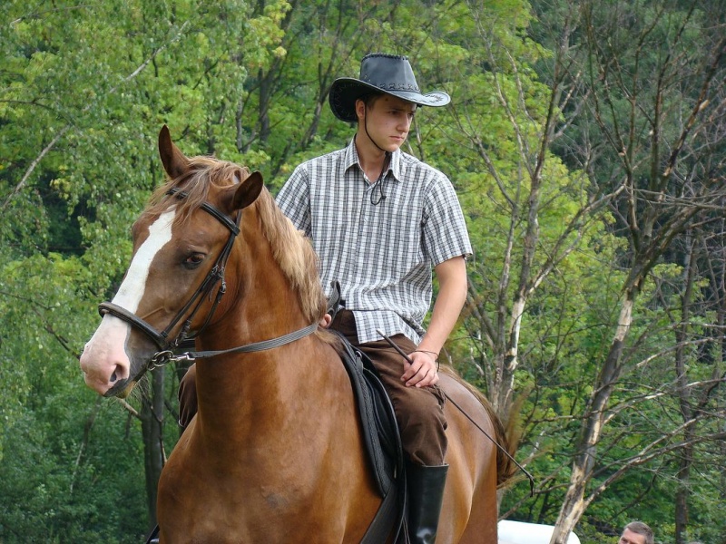 Zdjęcie w galerii na portalu naszwodzislaw.com: Grzanka, Britney, Rita, Muppet... wiadomości z regionu