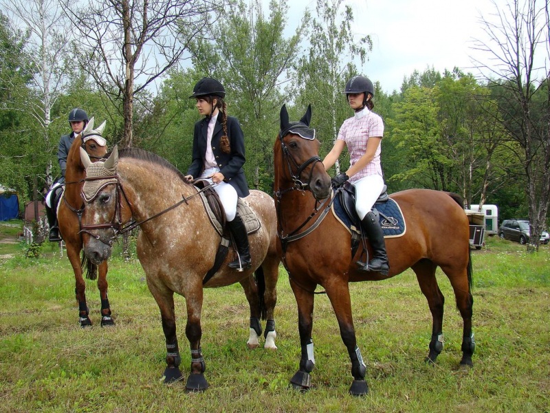 Zdjęcie w galerii na portalu naszwodzislaw.com: Grzanka, Britney, Rita, Muppet... wiadomości z regionu