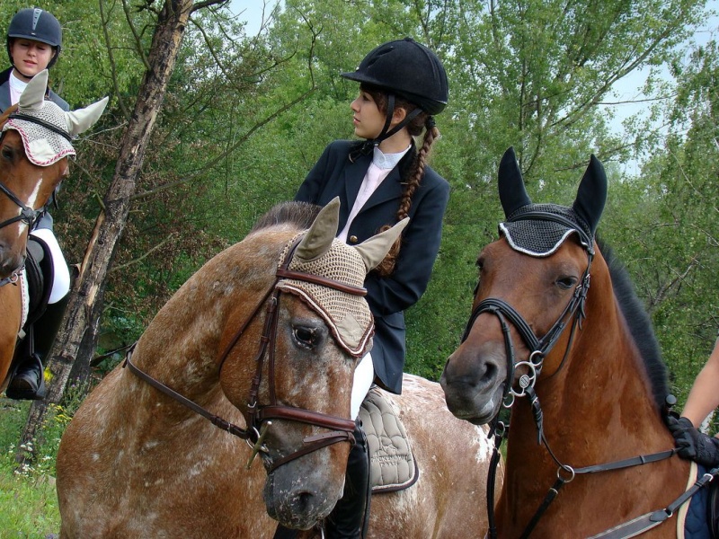 Zdjęcie w galerii na portalu naszwodzislaw.com: Grzanka, Britney, Rita, Muppet... wiadomości z regionu