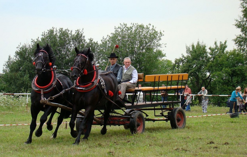 Zdjęcie w galerii na portalu naszwodzislaw.com: Grzanka, Britney, Rita, Muppet... wiadomości z regionu