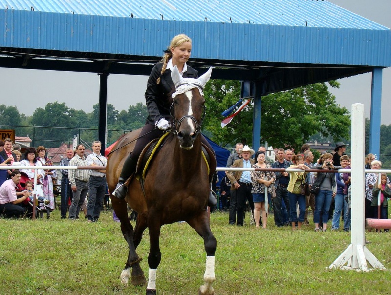 Zdjęcie w galerii na portalu naszwodzislaw.com: Grzanka, Britney, Rita, Muppet... wiadomości z regionu