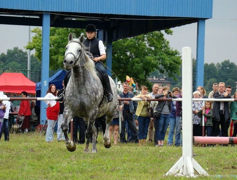 Zdjęcie w galerii na portalu naszwodzislaw.com: Grzanka, Britney, Rita, Muppet... wiadomości z regionu