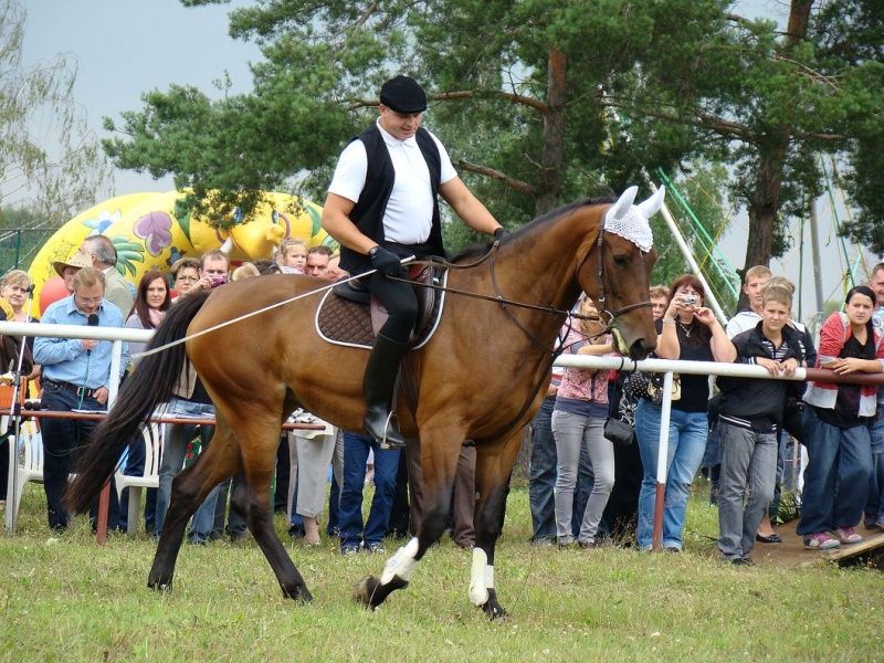 Zdjęcie w galerii na portalu naszwodzislaw.com: Grzanka, Britney, Rita, Muppet... wiadomości z regionu