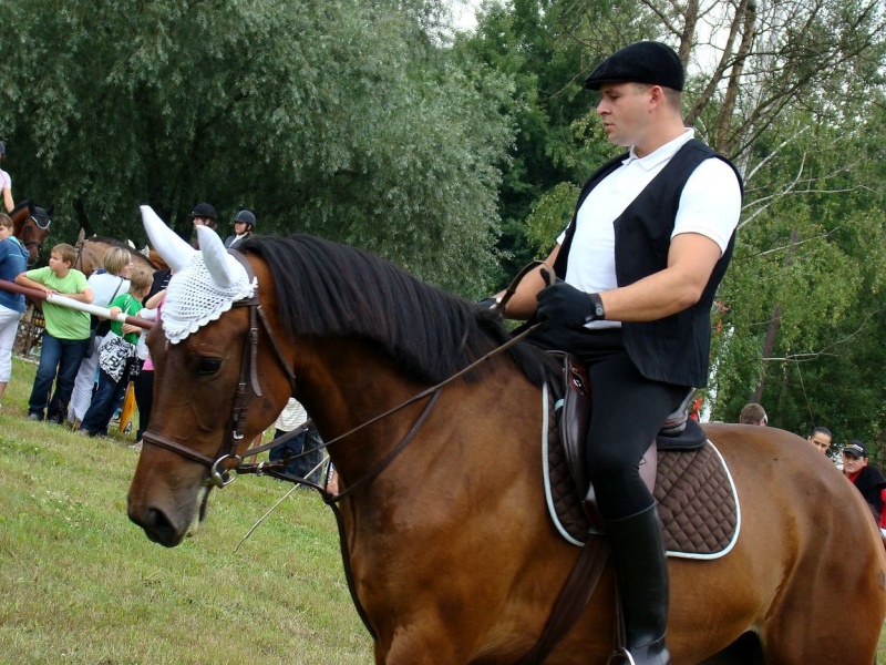 Zdjęcie w galerii na portalu naszwodzislaw.com: Grzanka, Britney, Rita, Muppet... wiadomości z regionu