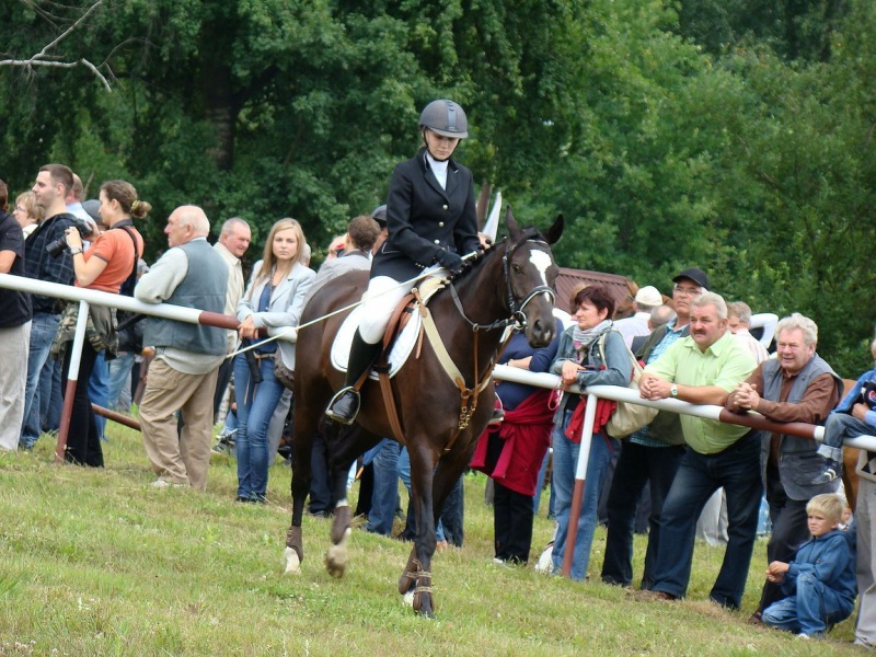 Zdjęcie w galerii na portalu naszwodzislaw.com: Grzanka, Britney, Rita, Muppet... wiadomości z regionu
