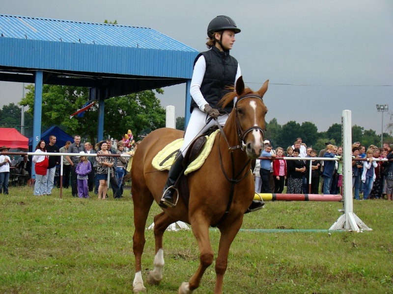 Zdjęcie w galerii na portalu naszwodzislaw.com: Grzanka, Britney, Rita, Muppet... wiadomości z regionu