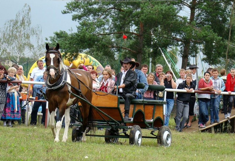 Zdjęcie w galerii na portalu naszwodzislaw.com: Grzanka, Britney, Rita, Muppet... wiadomości z regionu
