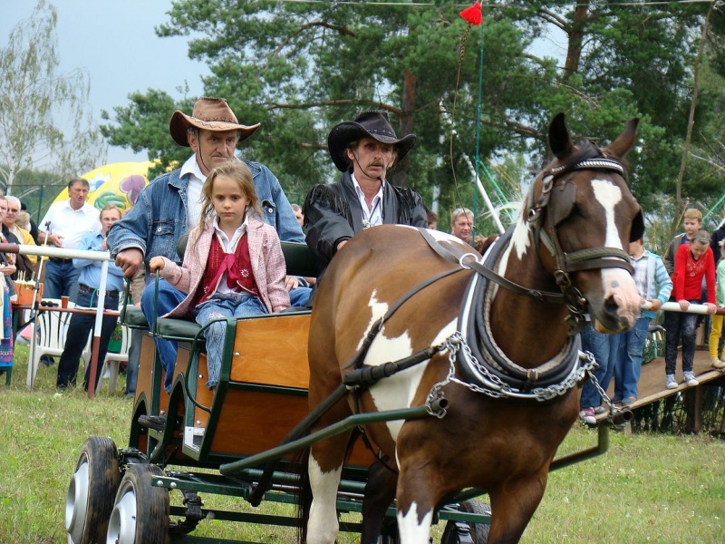 Zdjęcie w galerii na portalu naszwodzislaw.com: Grzanka, Britney, Rita, Muppet... wiadomości z regionu