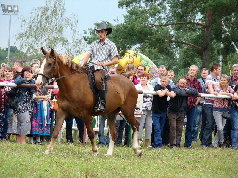 Zdjęcie w galerii na portalu naszwodzislaw.com: Grzanka, Britney, Rita, Muppet... wiadomości z regionu