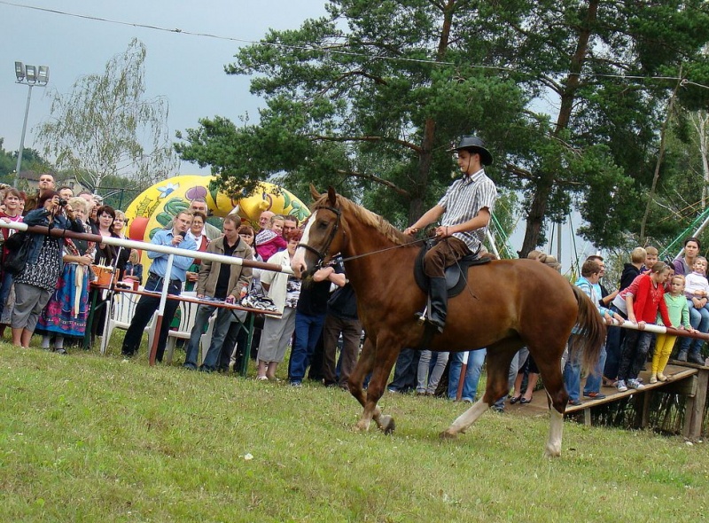 Zdjęcie w galerii na portalu naszwodzislaw.com: Grzanka, Britney, Rita, Muppet... wiadomości z regionu