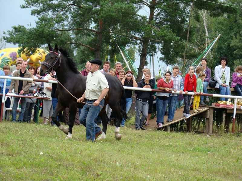 Zdjęcie w galerii na portalu naszwodzislaw.com: Grzanka, Britney, Rita, Muppet... wiadomości z regionu