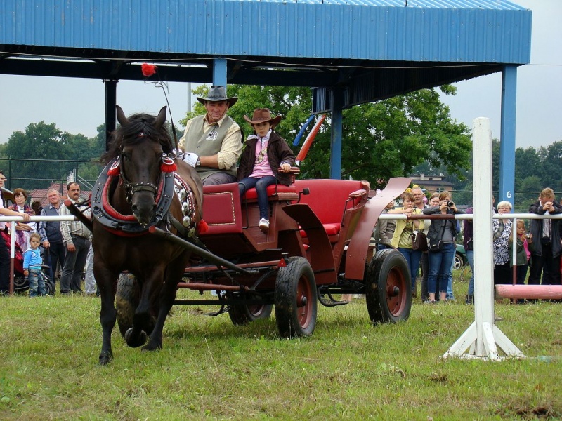 Zdjęcie w galerii na portalu naszwodzislaw.com: Grzanka, Britney, Rita, Muppet... wiadomości z regionu