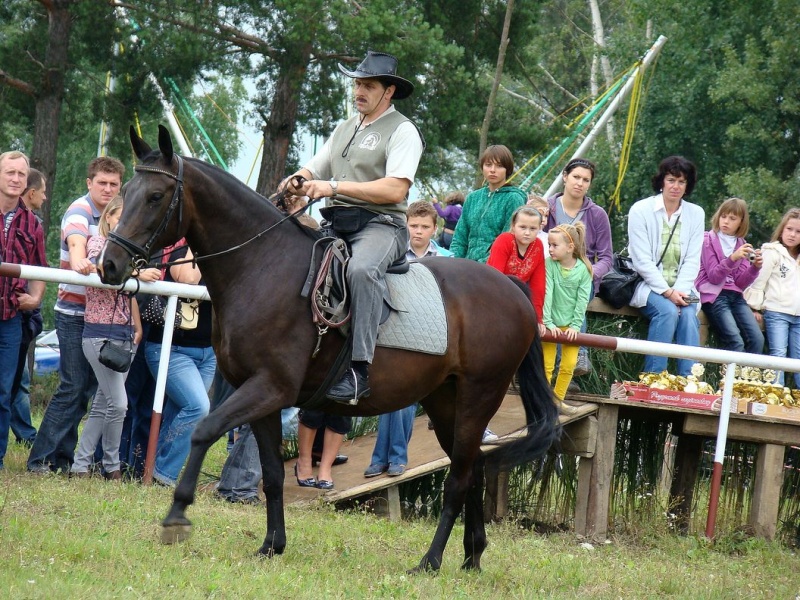 Zdjęcie w galerii na portalu naszwodzislaw.com: Grzanka, Britney, Rita, Muppet... wiadomości z regionu