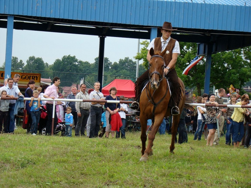 Zdjęcie w galerii na portalu naszwodzislaw.com: Grzanka, Britney, Rita, Muppet... wiadomości z regionu