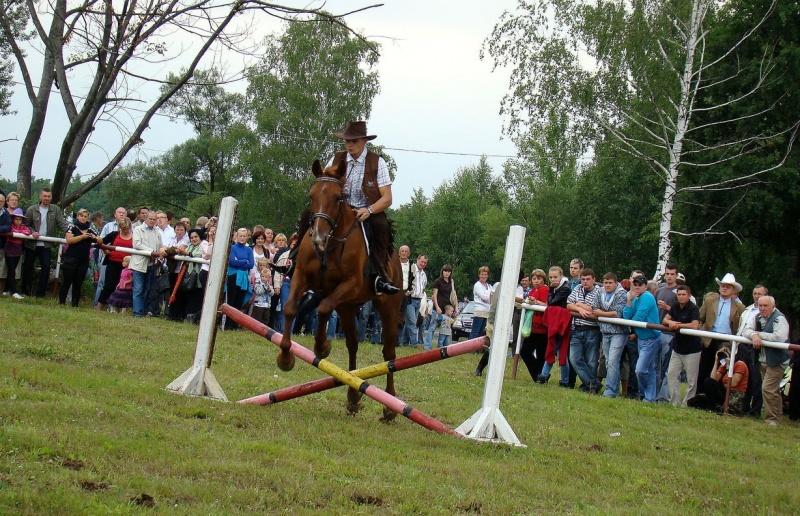 Zdjęcie w galerii na portalu naszwodzislaw.com: Grzanka, Britney, Rita, Muppet... wiadomości z regionu