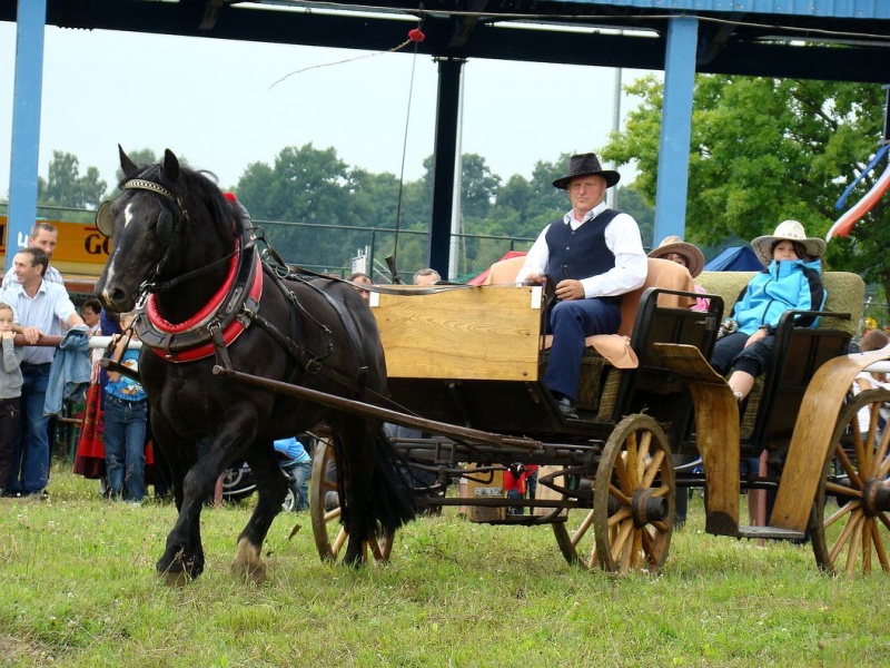 Zdjęcie w galerii na portalu naszwodzislaw.com: Grzanka, Britney, Rita, Muppet... wiadomości z regionu