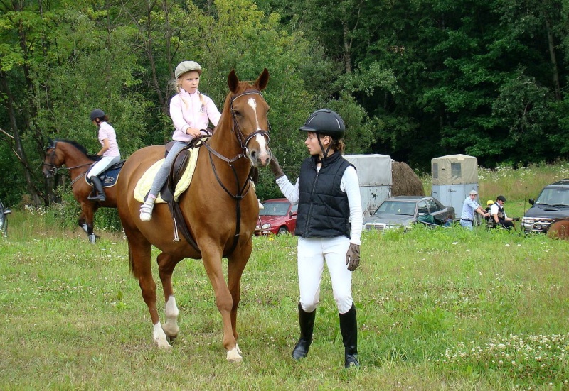 Zdjęcie w galerii na portalu naszwodzislaw.com: Grzanka, Britney, Rita, Muppet... wiadomości z regionu