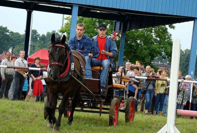 Zdjęcie w galerii na portalu naszwodzislaw.com: Grzanka, Britney, Rita, Muppet... wiadomości z regionu