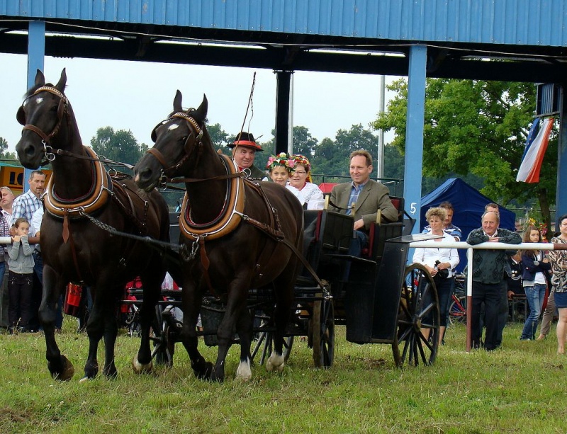 Zdjęcie w galerii na portalu naszwodzislaw.com: Grzanka, Britney, Rita, Muppet... wiadomości z regionu