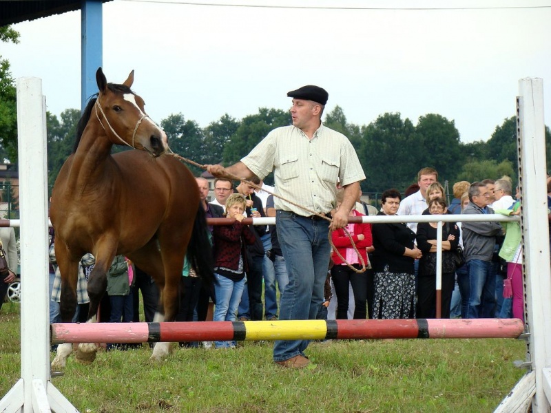 Zdjęcie w galerii na portalu naszwodzislaw.com: Grzanka, Britney, Rita, Muppet... wiadomości z regionu