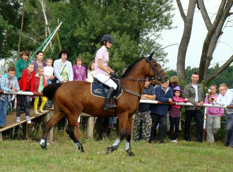 Zdjęcie w galerii na portalu naszwodzislaw.com: Grzanka, Britney, Rita, Muppet... wiadomości z regionu