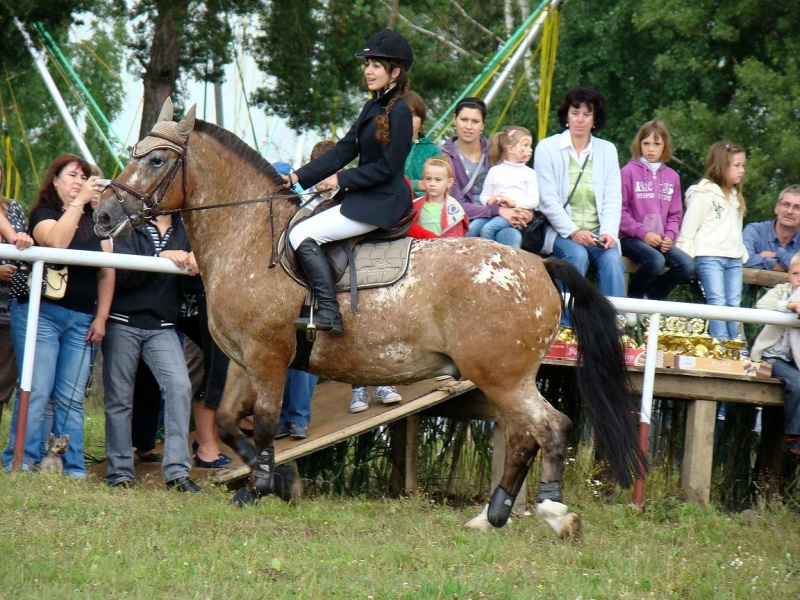 Zdjęcie w galerii na portalu naszwodzislaw.com: Grzanka, Britney, Rita, Muppet... wiadomości z regionu