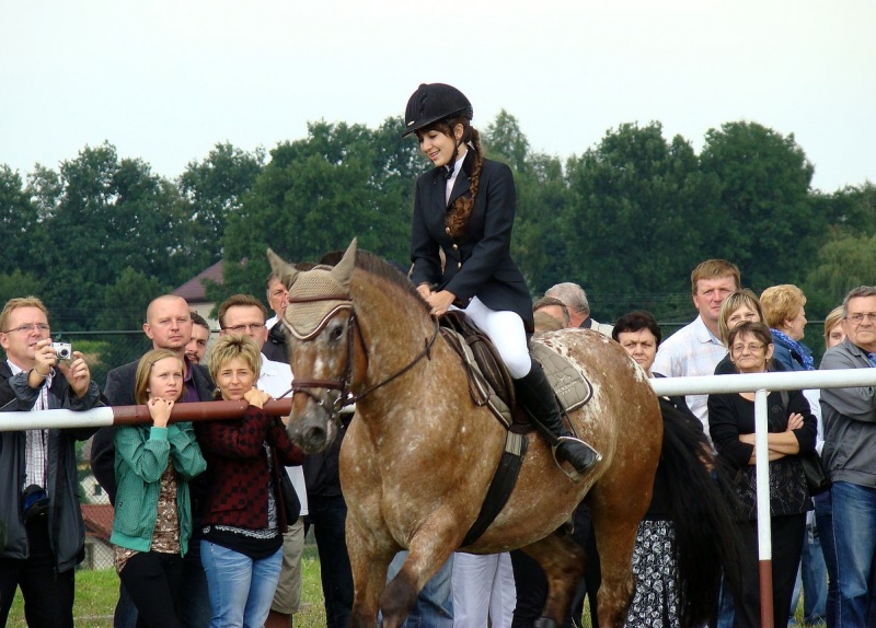 Zdjęcie w galerii na portalu naszwodzislaw.com: Grzanka, Britney, Rita, Muppet... wiadomości z regionu