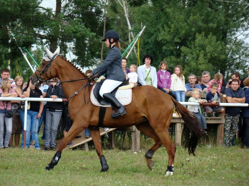 Zdjęcie w galerii na portalu naszwodzislaw.com: Grzanka, Britney, Rita, Muppet... wiadomości z regionu