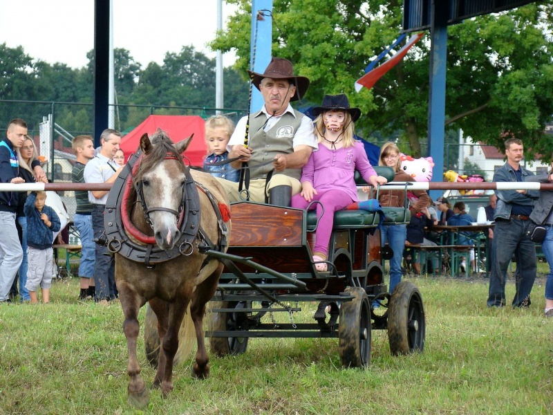Zdjęcie w galerii na portalu naszwodzislaw.com: Grzanka, Britney, Rita, Muppet... wiadomości z regionu