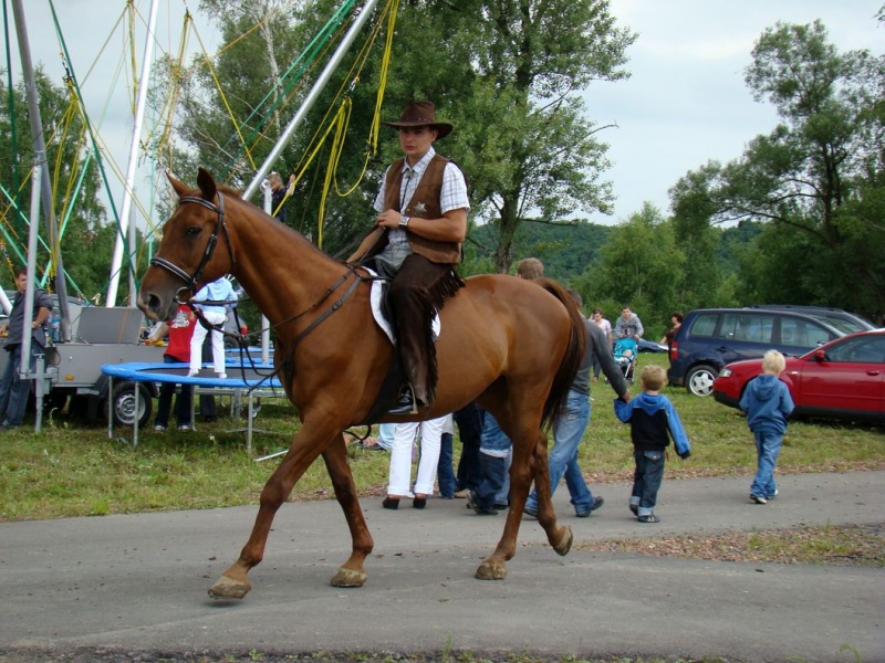Zdjęcie w galerii na portalu naszwodzislaw.com: Grzanka, Britney, Rita, Muppet... wiadomości z regionu