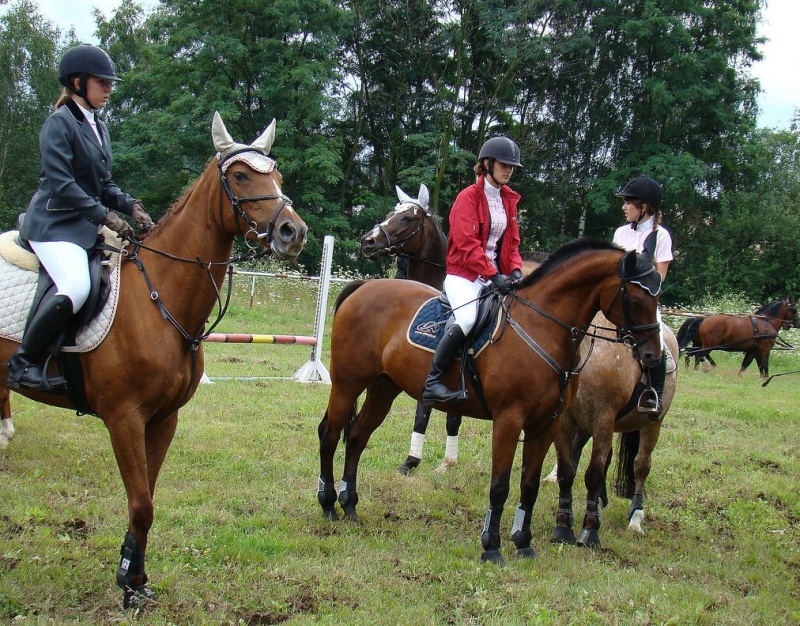 Zdjęcie w galerii na portalu naszwodzislaw.com: Grzanka, Britney, Rita, Muppet... wiadomości z regionu