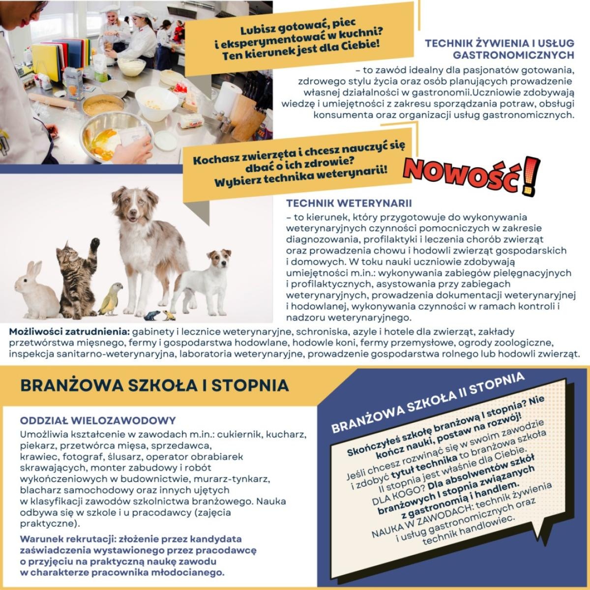 Zdjęcie w galerii na portalu naszwodzislaw.com: Wybór szkoły bez stresu. Powiat Wodzisławski publikuje Informator Naborowy 2026/2027 wiadomości z regionu