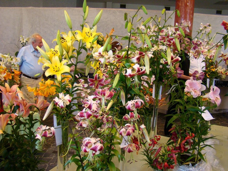 Zdjęcie w galerii na portalu naszwodzislaw.com: W mieście brakuje kwiatów? wiadomości z regionu