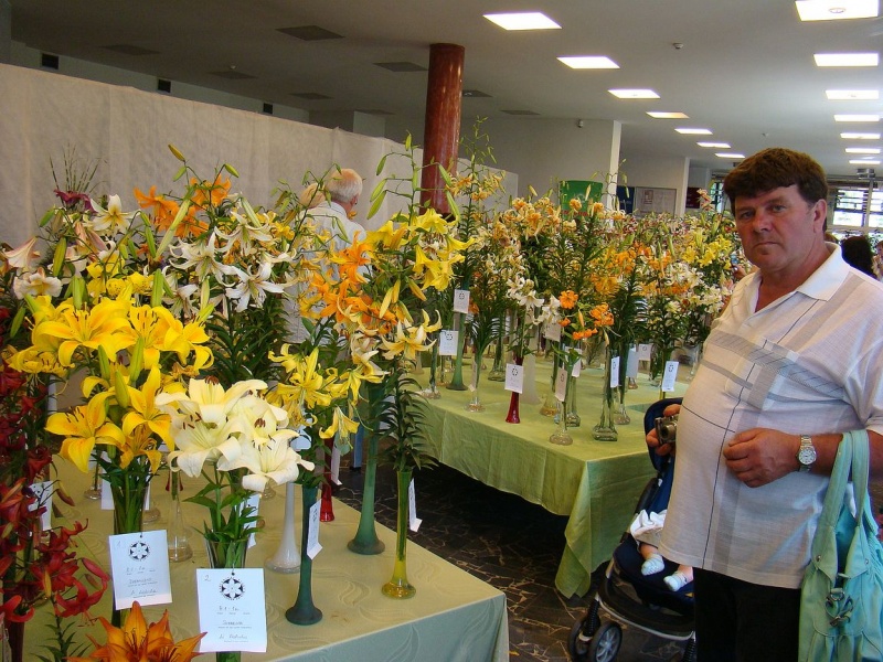 Zdjęcie w galerii na portalu naszwodzislaw.com: W mieście brakuje kwiatów? wiadomości z regionu