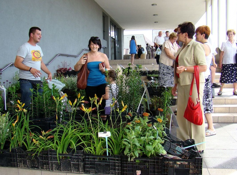 Zdjęcie w galerii na portalu naszwodzislaw.com: W mieście brakuje kwiatów? wiadomości z regionu