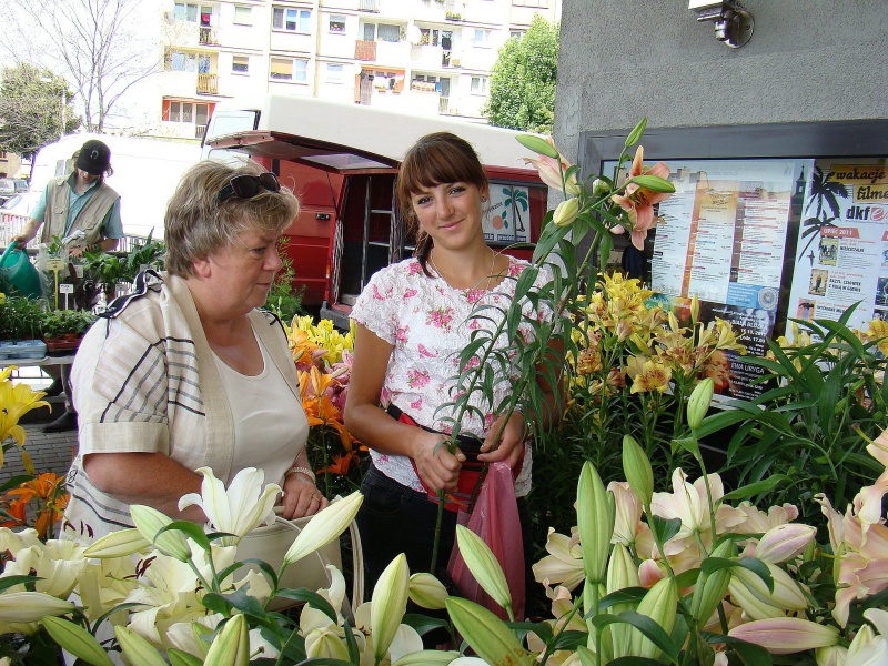 Zdjęcie w galerii na portalu naszwodzislaw.com: W mieście brakuje kwiatów? wiadomości z regionu